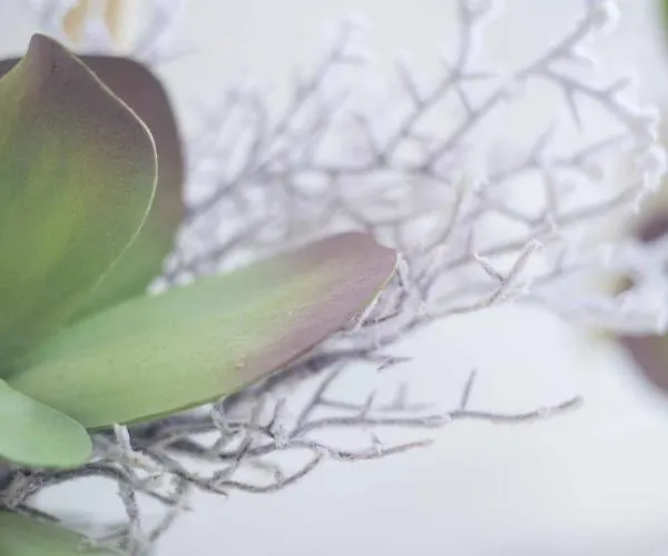 公寓 Micky S 波尔蒂芒