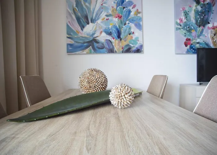 Micky S 波尔蒂芒