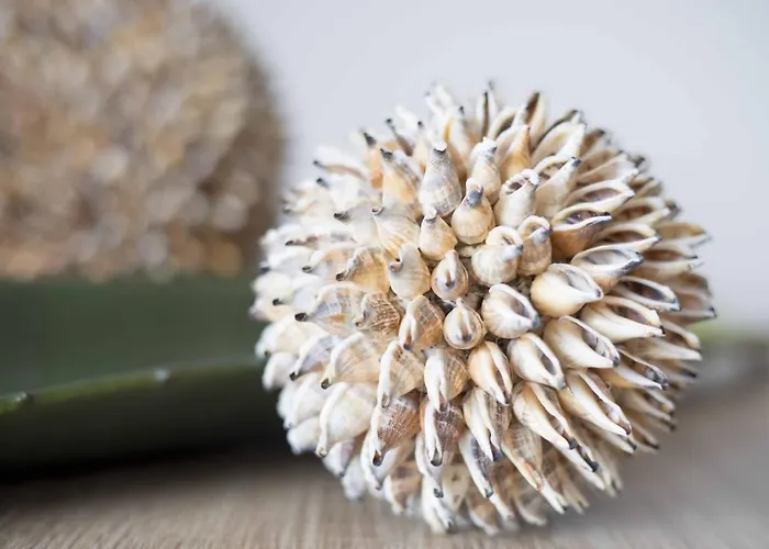 Micky S 公寓 波尔蒂芒