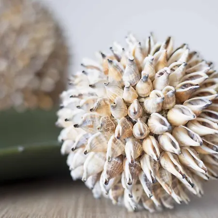 Micky S Apartment Portimao